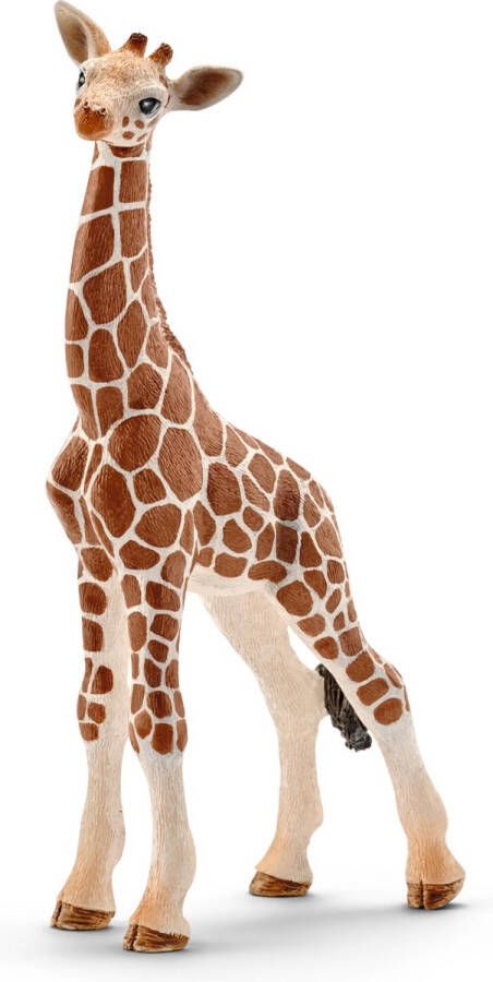 Schleich WILD LIFE Babygiraf Speelfiguur Kinderspeelgoed voor Jongens en Meisjes 3 tot 8 jaar