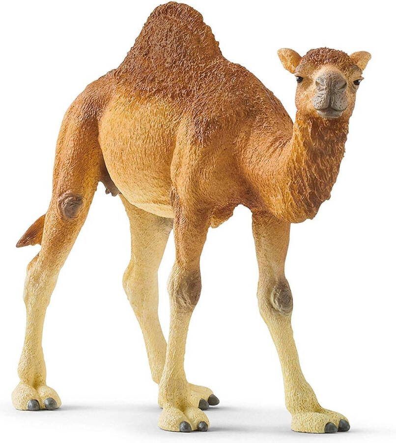 Schleich WILD LIFE Dromedaris Speelfiguur Kinderspeelgoed voor Jongens en Meisjes 3 tot 8 jaar 14832
