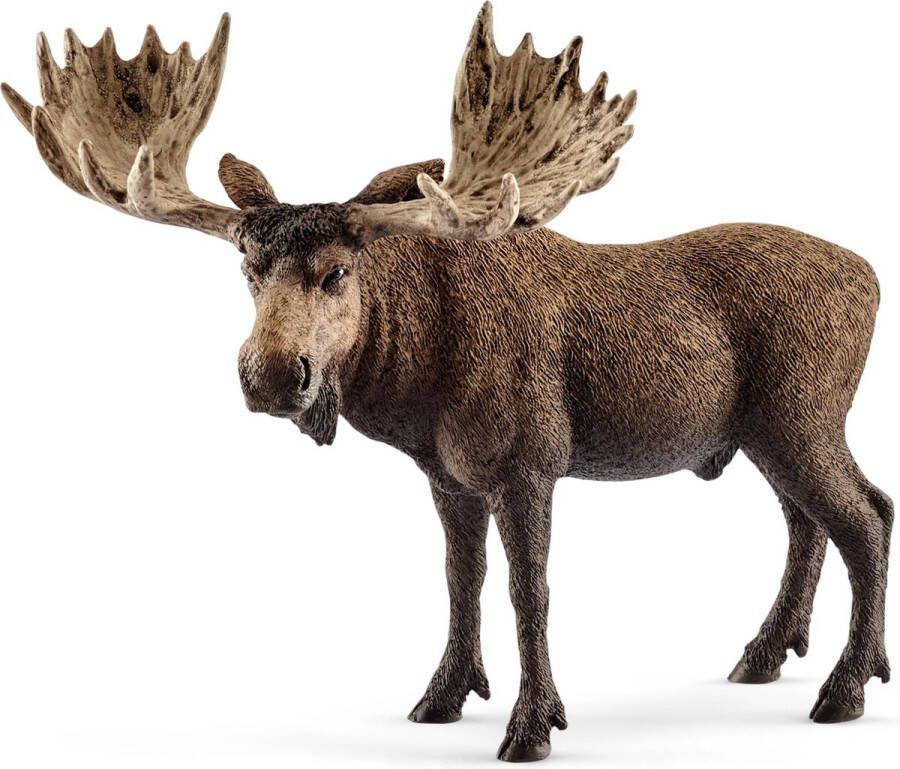 Schleich WILD LIFE Elandstier Speelfiguur Kinderspeelgoed voor Jongens en Meisjes 3 tot 8 jaar 14781