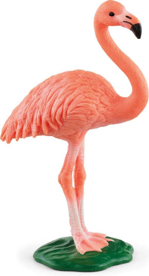 Schleich WILD LIFE Flamingo 14849