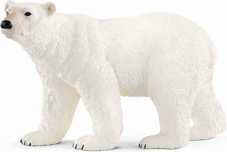 Schleich WILD LIFE Ijsbeer Speelfiguur Kinderspeelgoed voor Jongens en Meisjes 3 tot 8 jaar 14800