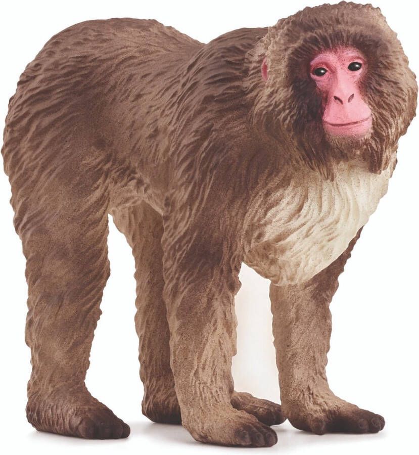 Schleich WILD LIFE Japanse makaak 14871