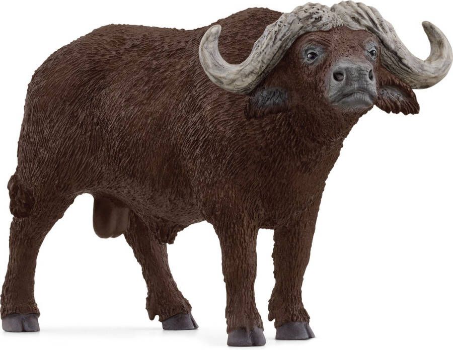 Schleich WILD LIFE Kafferbuffel Afrikaanse Buffel Steppebuffel 14872