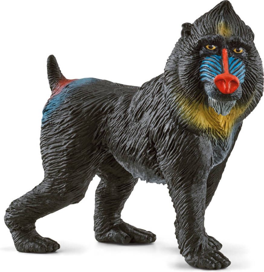 Schleich WILD LIFE Mandril Speelfiguur Kinderspeelgoed voor Jongens en Meisjes 3 tot 8 jaar 14856