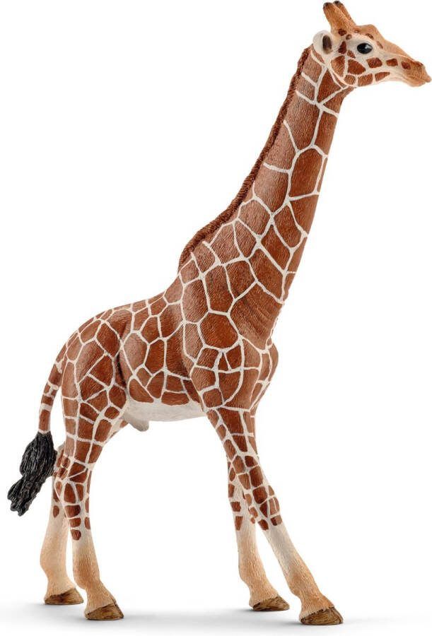 Schleich WILD LIFE Mannetjesgiraf Speelfiguur Kinderspeelgoed voor Jongens en Meisjes 3 tot 8 jaar 14749
