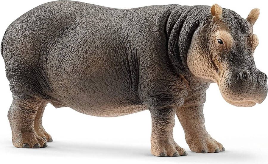 Schleich WILD LIFE Nijlpaard Speelfiguur Kinderspeelgoed voor Jongens en Meisjes 14814