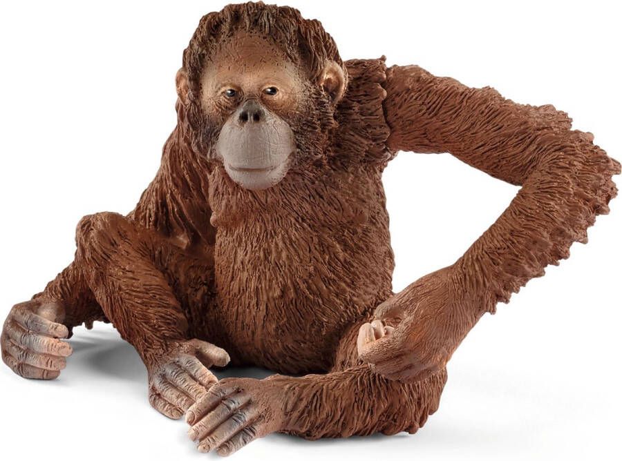Schleich WILD LIFE Orang-oetanvrouwtje Speelfiguur Kinderspeelgoed voor Jongens en Meisjes 3 tot 8 jaar 14775