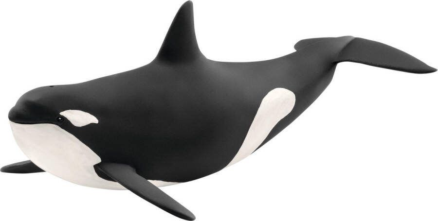 Schleich WILD LIFE Orka Speelfiguur Kinderspeelgoed voor Jongens en Meisjes 3 tot 8 jaar 14807