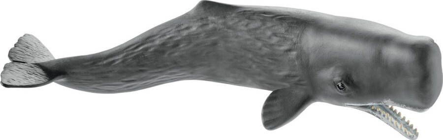 Schleich WILD LIFE Potvis Speelfiguur Kinderspeelgoed voor Jongens en Meisjes 3 tot 8 jaar 14764