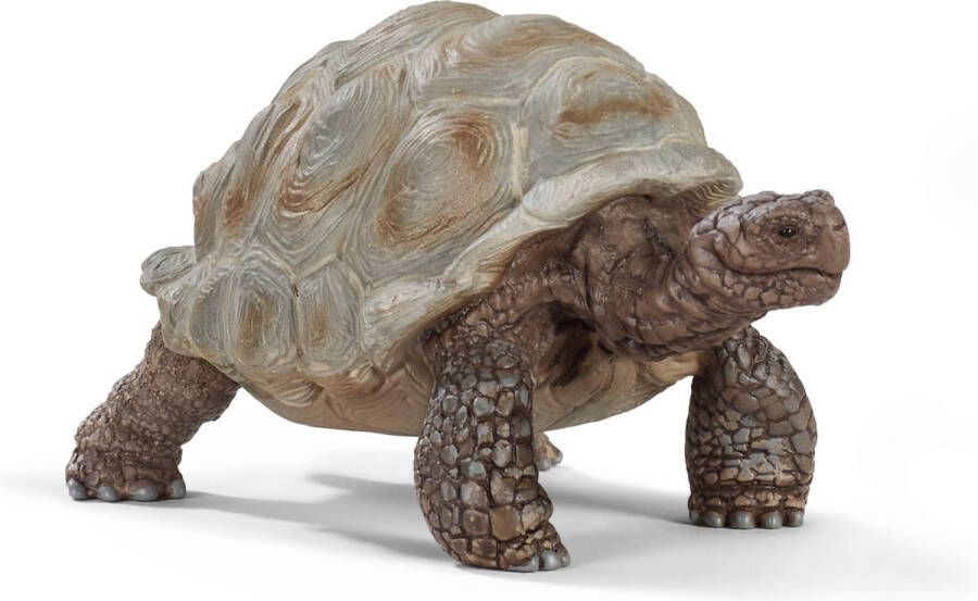 Schleich WILD LIFE Reuzenschildpad Speelfiguur Schildpad speelgoed 14824