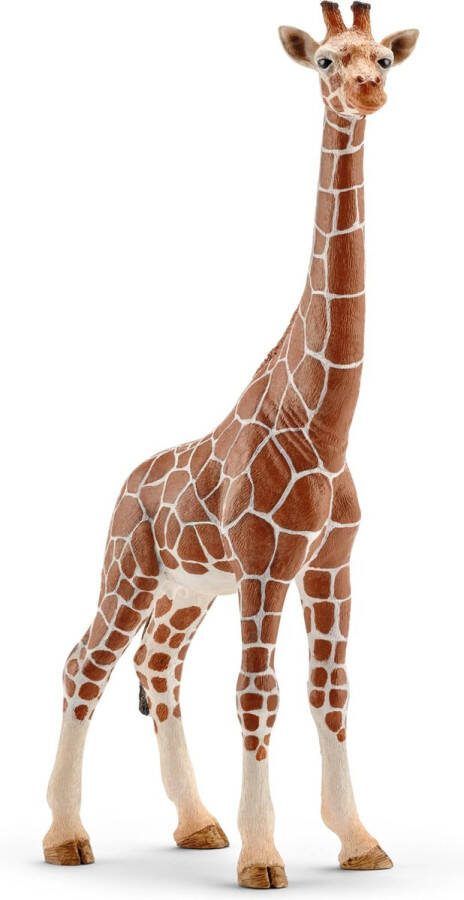 Schleich WILD LIFE Vrouwtjesgiraf Speelfiguur Kinderspeelgoed voor Jongens en Meisjes 3 tot 8 jaar 14750
