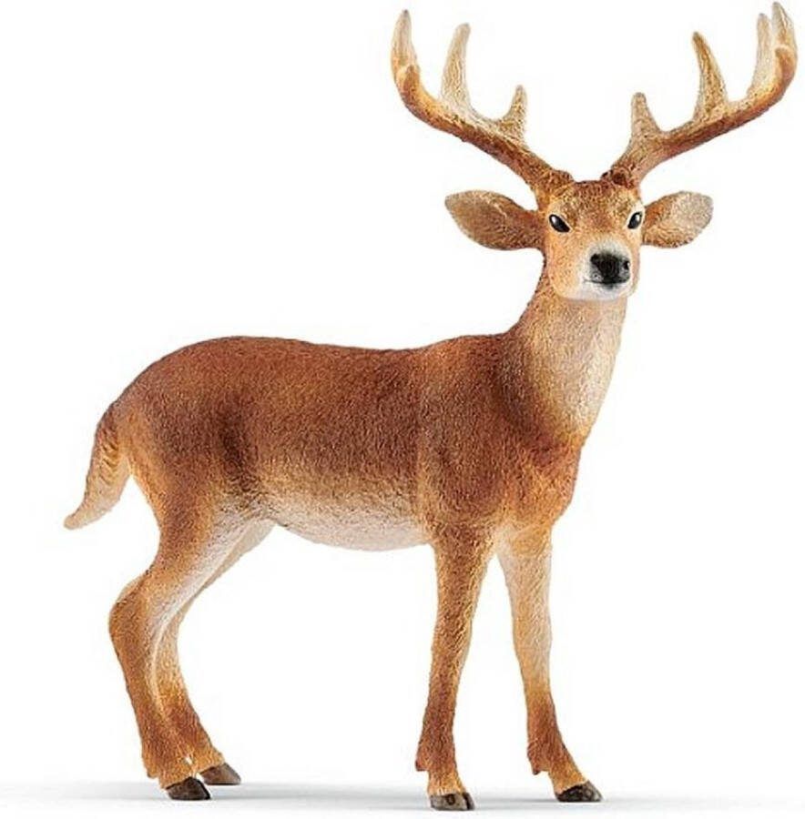 Schleich WILD LIFE Witstaarthert Speelfiguur Kinderspeelgoed voor Jongens en Meisjes 3 tot 8 jaar 14818