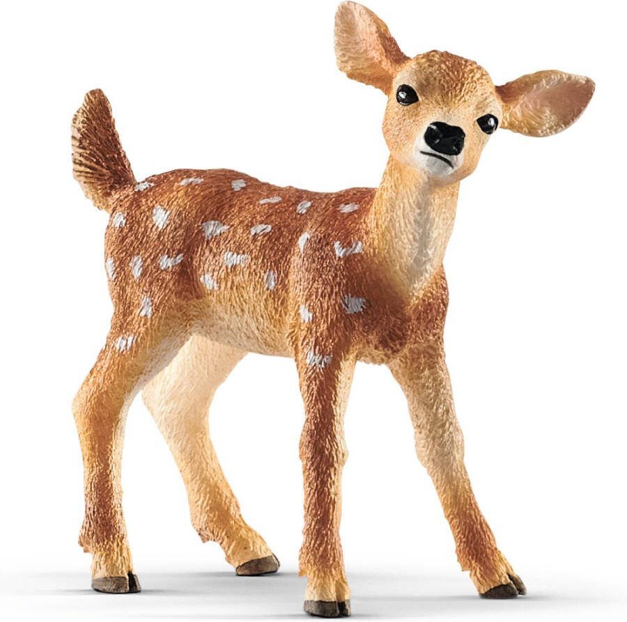 Schleich WILD LIFE Witstaarthertenjong Speelfiguur Kinderspeelgoed voor Jongens en Meisjes 3 tot 8 jaar 14820