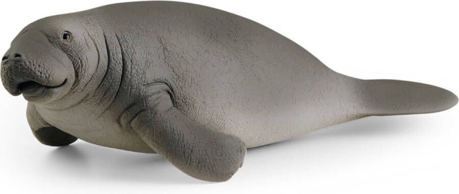Schleich WILD LIFE Zeekoe Speelfiguur Kinderspeelgoed voor Jongens en Meisjes 3 tot 8 jaar 14839