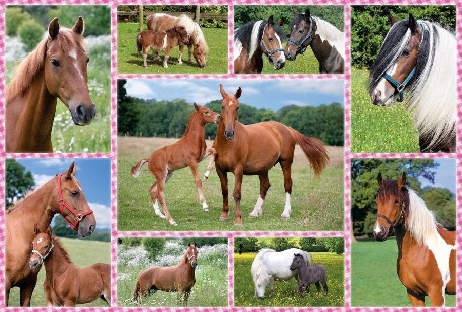 Schmidt 999 Games Legpuzzel Prachtige Paarden Junior 150 Stukjes