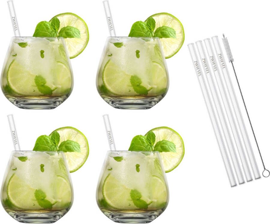 Schott Zwiesel Cocktailglazenset Vina 4 delige set met rietjes en borsteltje