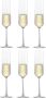 Schott Zwiesel Pure Fl�te Champagneglas 0.209 l 6 stuks - Thumbnail 1