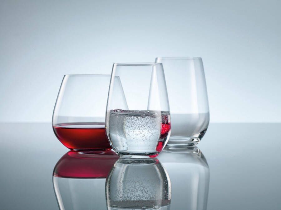 Schott Zwiesel Vina Waterglas 42 0.4 Ltr set van 6