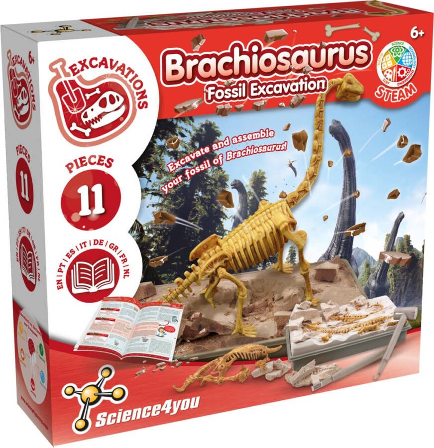 Science 4 You Science4you Fossil Excavation Brachiosaurus Dinosaurus Skelet opgraven Opgravingsset Dino met Beitel & Hamer