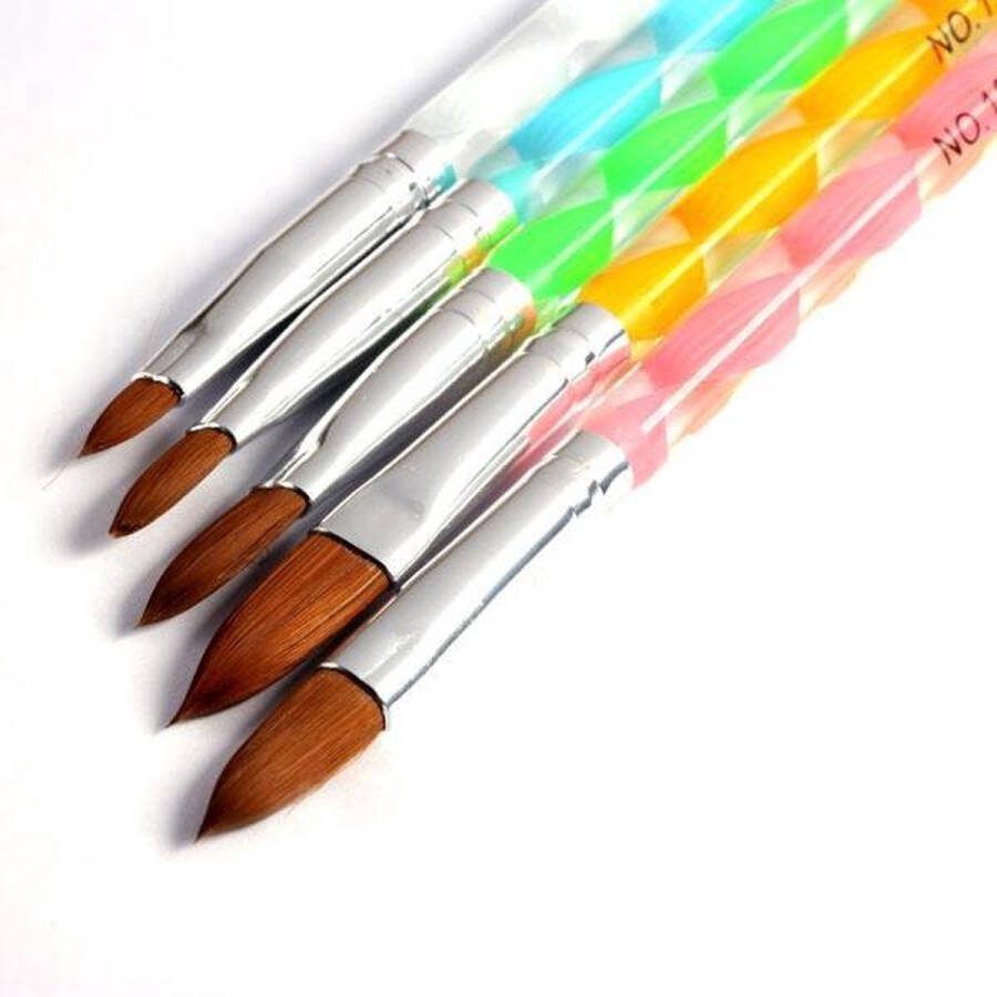 Scoby Acryl Penselen Acryl Nagels Acryl Nagels Zetten Acrylic Brushes 5 stuks 5 Kleuren