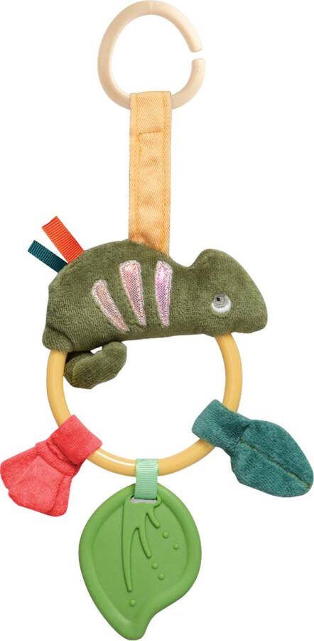 Sebra Carley The Chameleon Activiteitenring