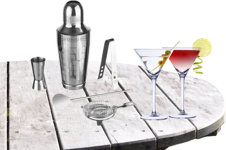 Secret de Gourmet Cocktailshaker set RVS 5-delig inclusief 4x cocktail martini glazen 220 ml Cocktailshakers