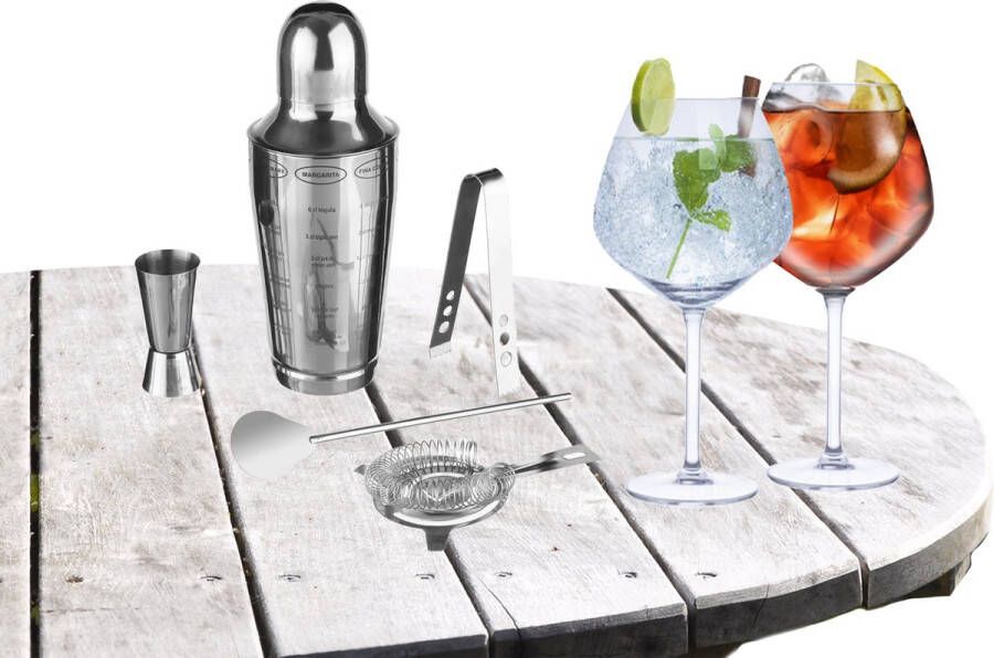 Secret de Gourmet Cocktailshaker set RVS 5-delig inclusief 4x Gin Tonic glazen 730 ml Cocktailshakers