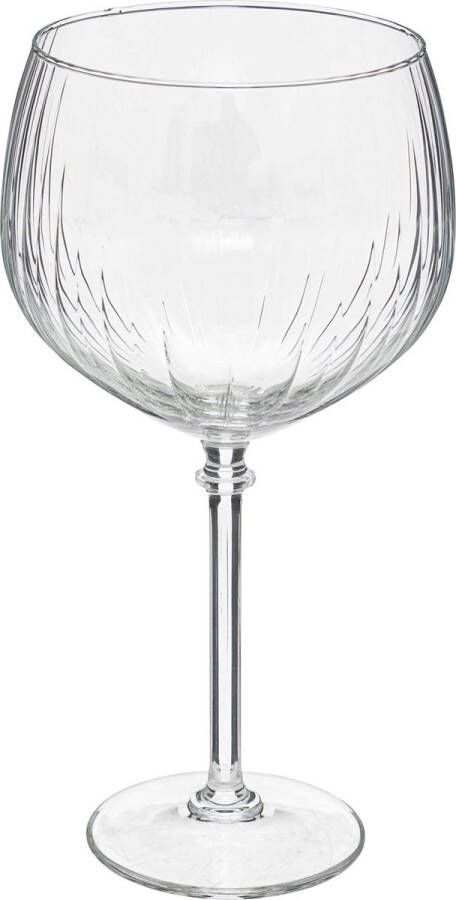 Secret de Gourmet Gin-glazen set van 4 stuks 64cl Transparant