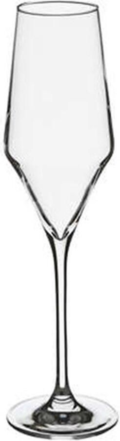 Secret de Gourmet Clarillo champagneglazen 22cl Set van 6 Transparant