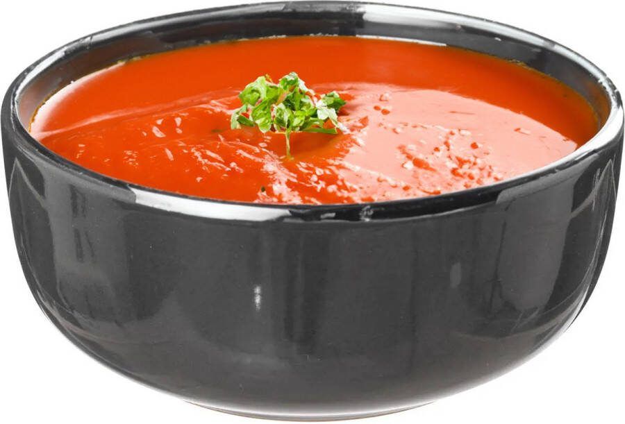 Secret de Gourmet Soepkommen schaaltjes 2x Santorini keramiek D15 x H6.5 cm donkergrijs