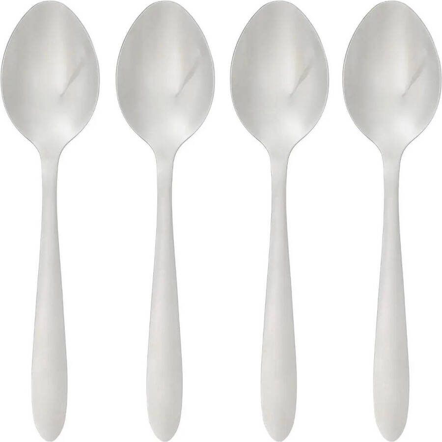 Secret de Gourmet Soeplepels eetlepels Nevis 16x stuks RVS 19 cm