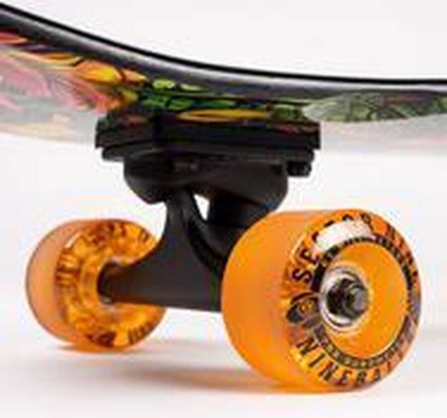 Sector 9 Eden ft Point longboard