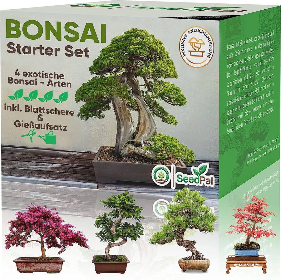 SeedPal Bonsai Starter Set Kweek prachtige bonsai bomen inclusief handleiding en accessoires