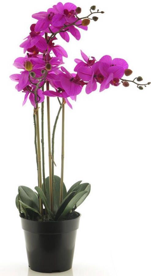 Sense Zijde Phalaenopsis met 3 bloemen Orchidee plant paars 60cm Kantoorplanten Fuchsia