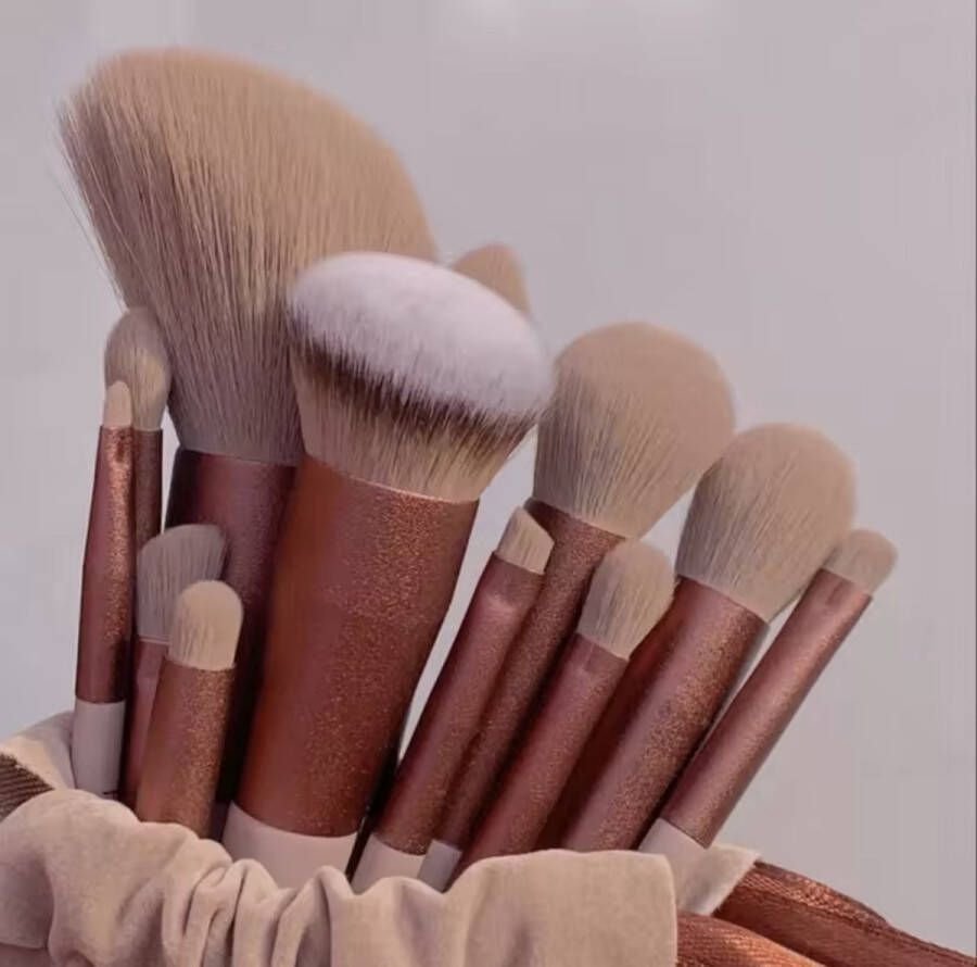 Sfc Make-up kwasten set 13 pcs Make-up borstels Make-up tool Roze Met draagtas Foundation Kwast Oogschaduw Blush Cosmetische borstel