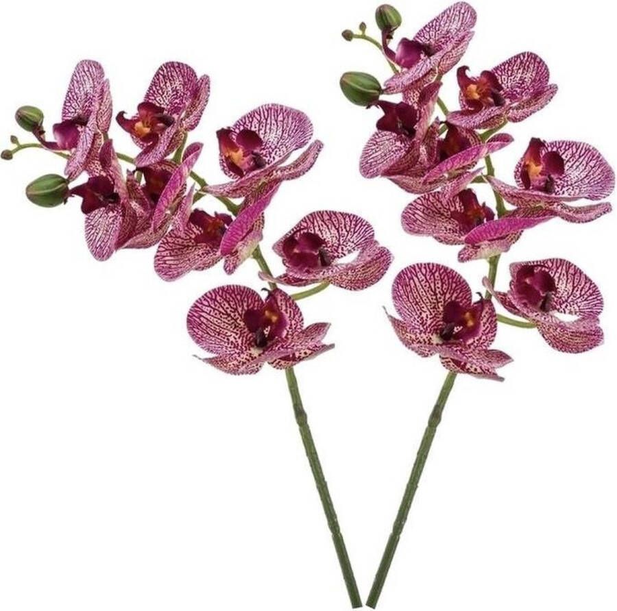 Shoppartners 2x Fuchsia roze Phaleanopsis vlinderorchidee kunstbloemen 70 cm Kunstbloemen boeketten