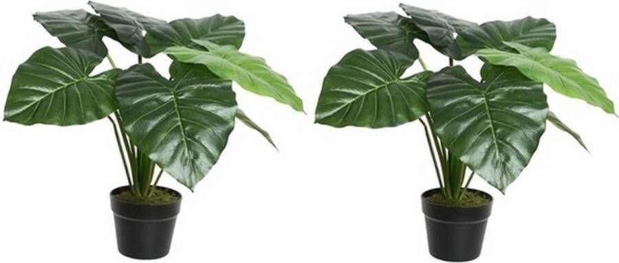 Shoppartners 2x Groene Colocasia taro kunstplant 52 cm in zwarte pot Kunstplanten nepplanten Kantoorplanten