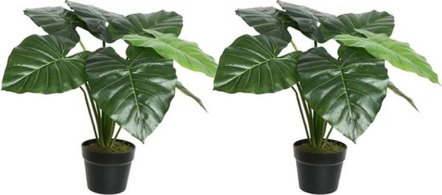 Shoppartners 2x Groene Colocasia taro kunstplanten 52 cm in zwarte pot Kunstplanten nepplanten Kantoorplanten