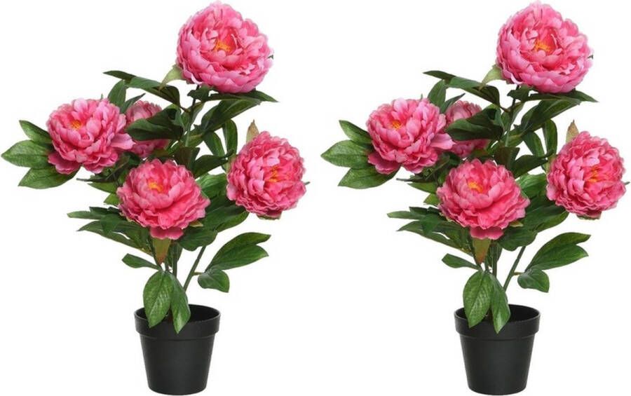 Shoppartners 2x Roze Paeonia pioenroos rozenstruik kunstplanten 57 cm in zwarte plastic pot Kunstplanten nepplanten Pioenrozen