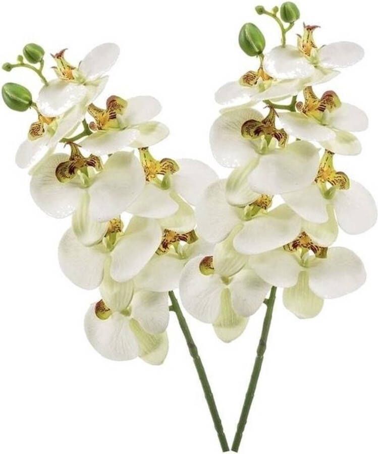 Merkloos 2 stuks witte Phaleanopsis vlinderorchidee kunstbloemen 70 cm decoratie Kunstbloemen