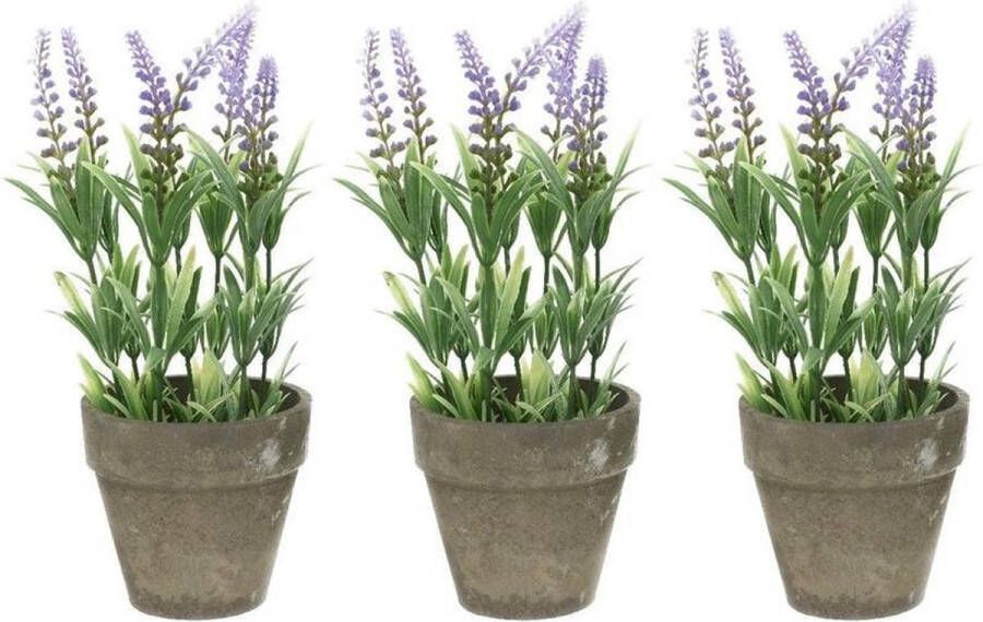 Bellatio Flowers & Plants 3x Groene lilapaarse Lavandula lavendel kunstplanten 25 cm in grijze betonlook pot Kunstplanten nepplanten