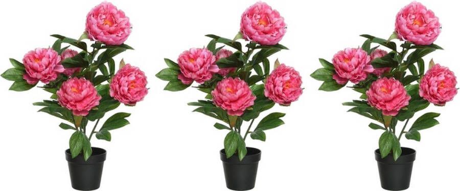 Shoppartners 3x Roze Paeonia pioenroos rozenstruik kunstplanten 57 cm in zwarte plastic pot Kunstplanten nepplanten Pioenrozen