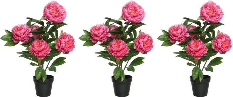 Shoppartners 5x stuks roze Paeonia pioenroos rozenstruik kunstplant 57 cm in zwarte plastic pot Kunstplanten nepplanten Pioenrozen