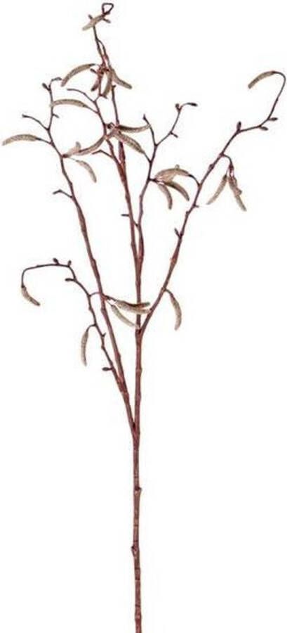 Shoppartners Bruine Betula pendula berkenkatjes paastak kunsttak 66 cm Kunstbloemen kunsttakken Kunstbloemen boeketten