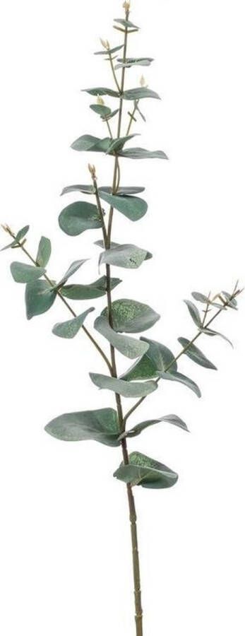 Merkloos Eucalyptus kunstbloemen takken 68 cm decoratie Kunstbloemen