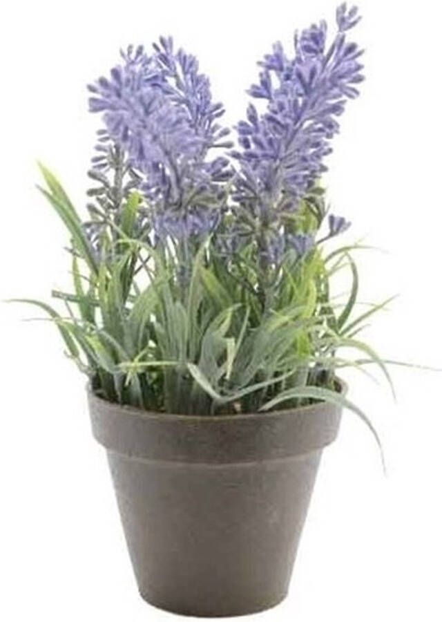 Shoppartners Groene Lavandula lavendel kunstplant 17 cm in zwarte plastic pot Kunstplanten nepplanten
