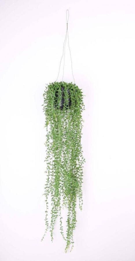 Shoppartners Groene Senecio erwtenplant kunstplant 70 cm in hangende pot Kunstplanten nepplanten