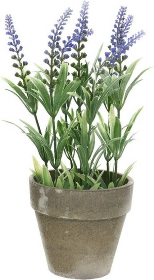 Bellatio Flowers & Plants Groene paarse Lavandula lavendel kunstplant 25 cm in grijze betonlook pot Kunstplanten nepplanten
