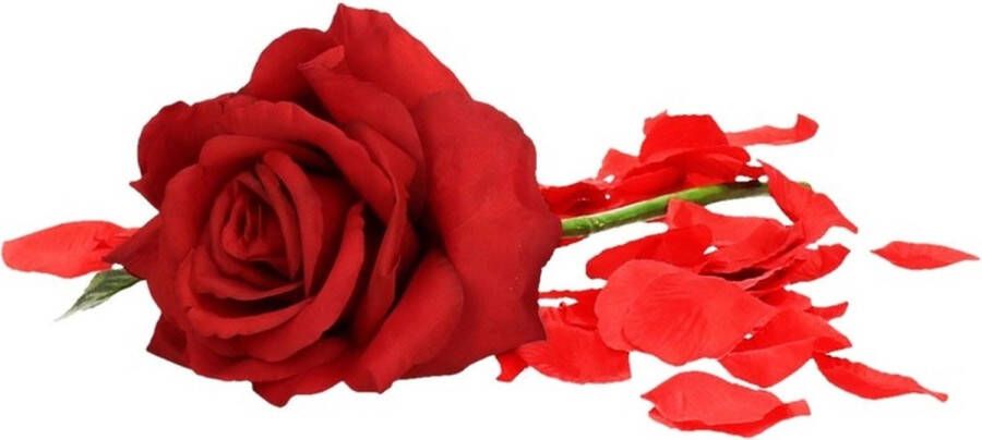 Shoppartners Valentijnscadeau rode roos 31 cm met rozenblaadjes