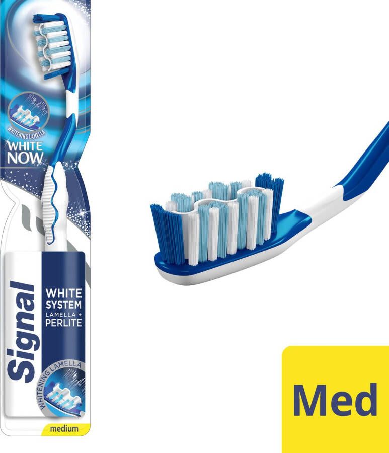 Signal White System Tandenborstel -Handtandenborstel Medium Voordeelverpakking 12 stuks